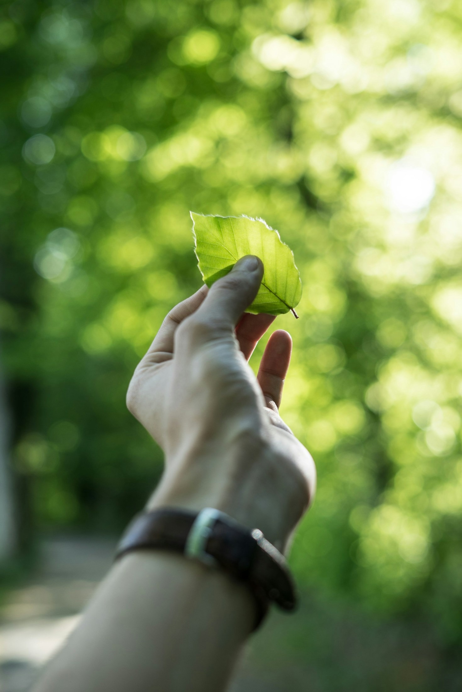 Beginner’s Guide to Composting at Home